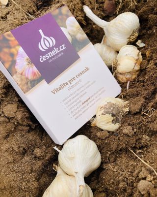Rozhodli ste sa pre jesennú výsadbu cesnaku? - ideálna voľba pre ošetrenie cesnaku - obsahuje všetko v jednom :...